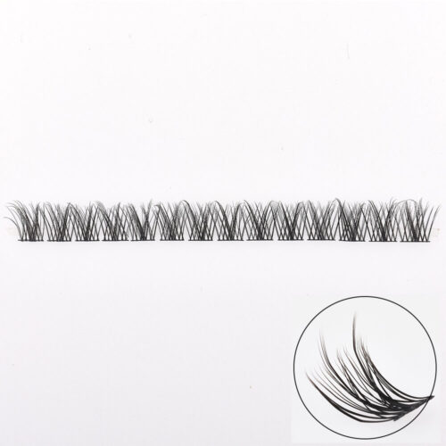 Natural Cluster Lashes